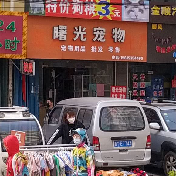 曙光宠物:烟台市莱山区迎春大街附近