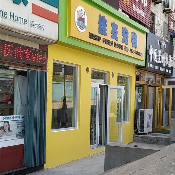 豆丁佳友宠物:烟台市莱山区海韵路附近