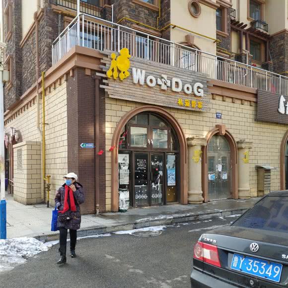 wo+DoG私宠管家:烟台市莱山区观海路附近