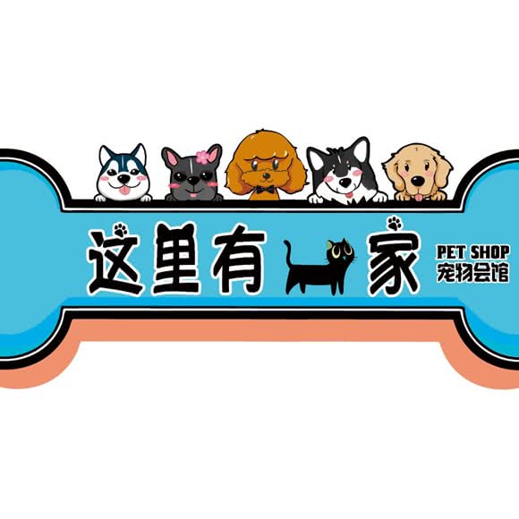 这里有一家宠物会馆:天津城区河西区下瓦房附近