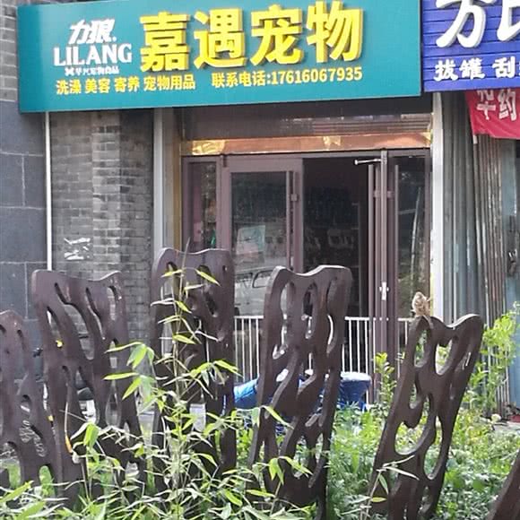 嘉遇宠物:烟台市蓬莱区蓬莱区附近