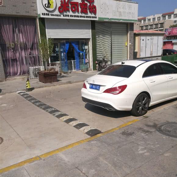 米可宠物:烟台市蓬莱区蓬莱区附近