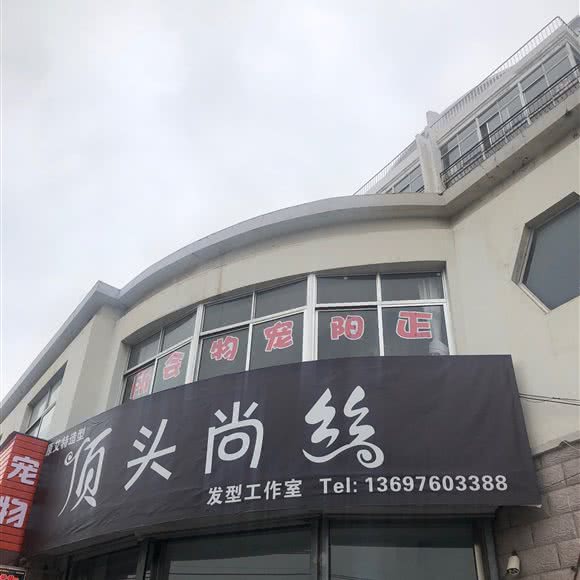 正阳宠吧:烟台市蓬莱区蓬莱区附近