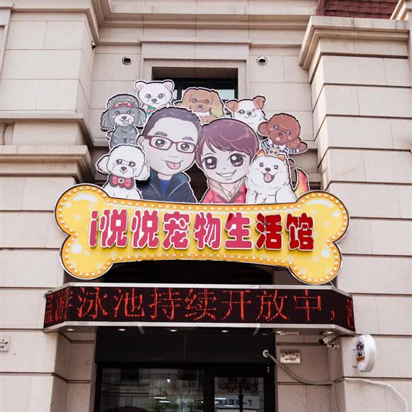 i悦悦宠物生活馆(河西店):天津城区河西区挂甲寺附近