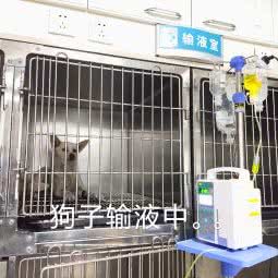 和风动物医院(海景苑店):烟台市蓬莱区蓬莱区附近