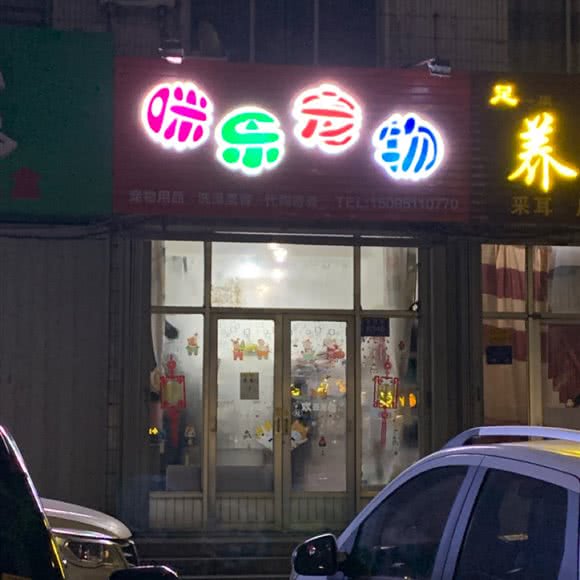 咪乐宠物狗:潍坊市潍城区中百大厦附近