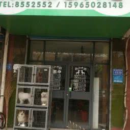 果味萌宠:潍坊市潍城区中百大厦附近