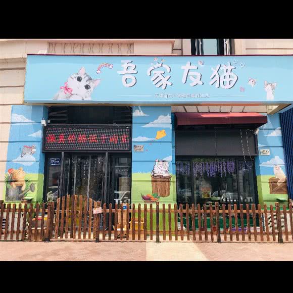 吾家友猫:天津城区河西区挂甲寺附近