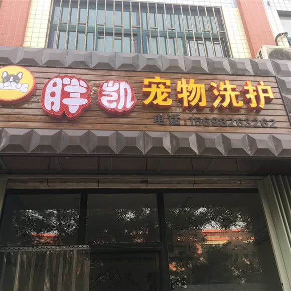 胖凯宠物洗护:潍坊市寒亭区寒亭中心城区附近