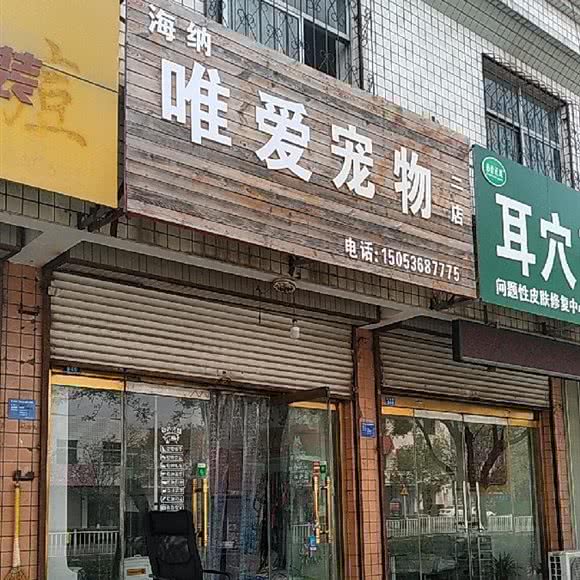 海纳唯爱宠物(二店):潍坊市寒亭区寒亭中心城区附近