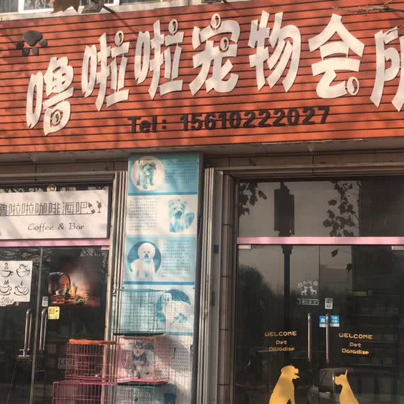 噜啦啦宠物会所:潍坊市寒亭区寒亭中心城区附近