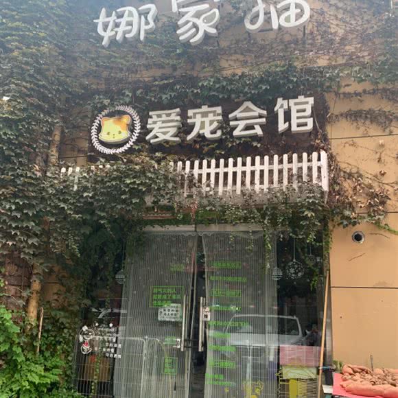 娜鼠类爱宠会馆:潍坊市坊子区坊子区中心城区附近
