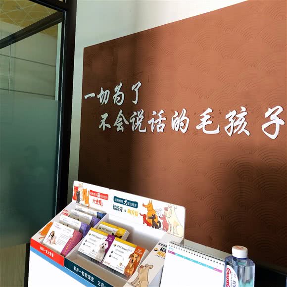 爱心宠物诊所:潍坊市坊子区坊子区中心城区附近