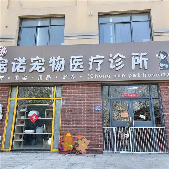 宠诺宠物医疗诊所:潍坊市坊子区坊子区中心城区附近