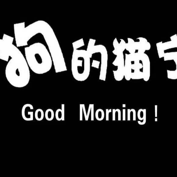 狗的猫宁宠物生活馆:潍坊市奎文区泰华附近