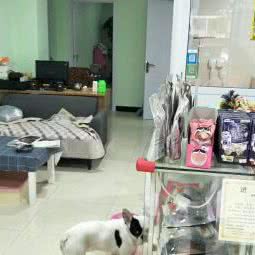 禹诺萌宠:天津城区河西区永安道沿线附近