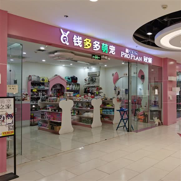 钱多多萌宠(泰华店):潍坊市奎文区泰华附近