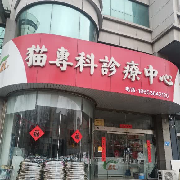 猫专科珍疗中心:潍坊市奎文区泰华附近
