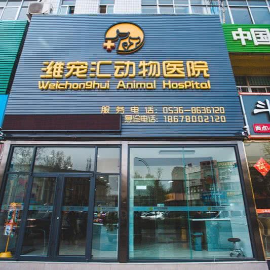 潍宠汇动物医院:潍坊市奎文区文化路附近