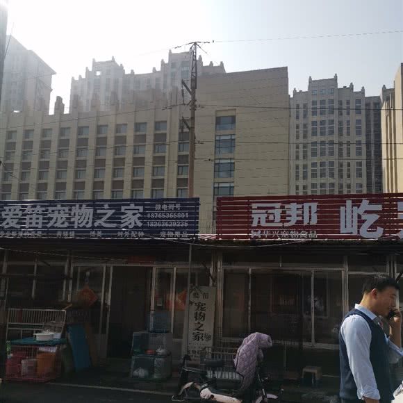 爱笛宠物之家:潍坊市奎文区虞河路附近