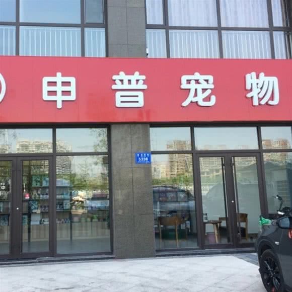 申普宠物:潍坊市奎文区虞河路附近