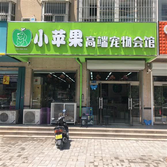 小苹果爱宠生活馆:潍坊市奎文区虞河路附近