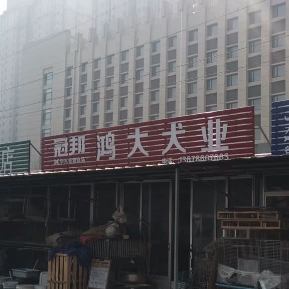 冠邦鸿大犬业:潍坊市奎文区虞河路附近