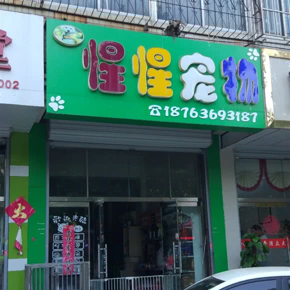 惺惺宠物:潍坊市奎文区风筝广场附近