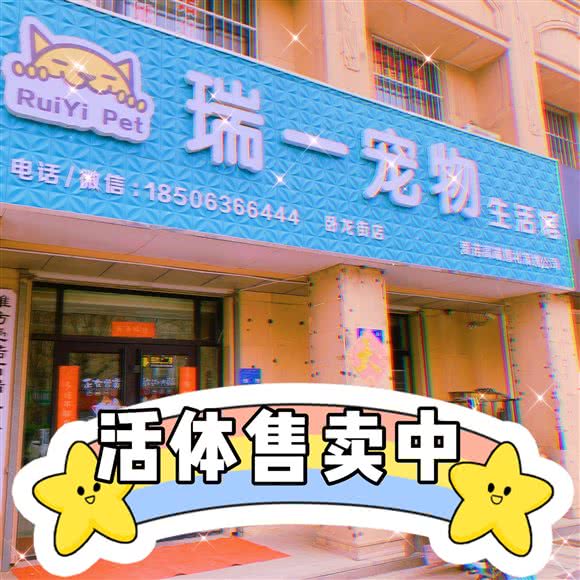 瑞一宠物生活馆(卧龙街店):潍坊市奎文区万达广场附近