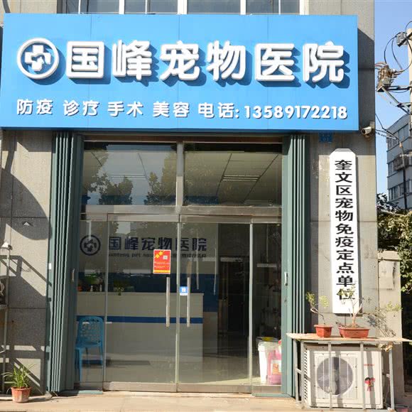 国峰宠物医院:潍坊市奎文区圣荣附近