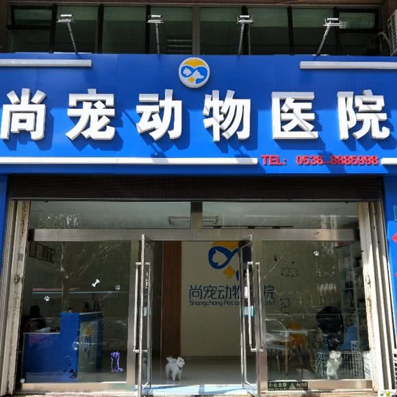 尚宠动物医院:潍坊市奎文区早春园附近