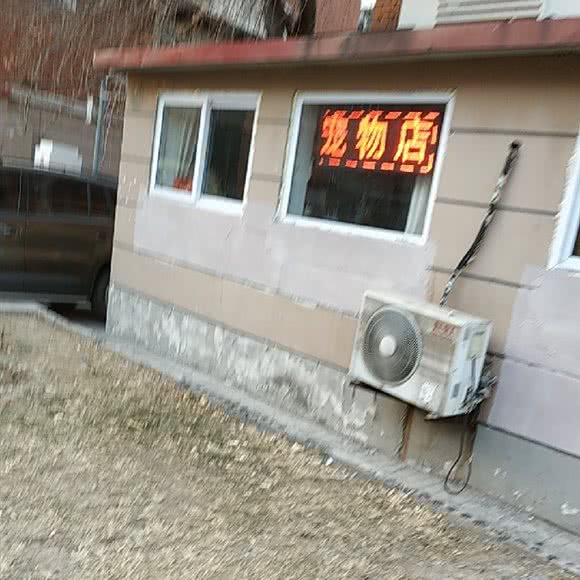 贝斯特宠物店:天津城区河西区宾西附近