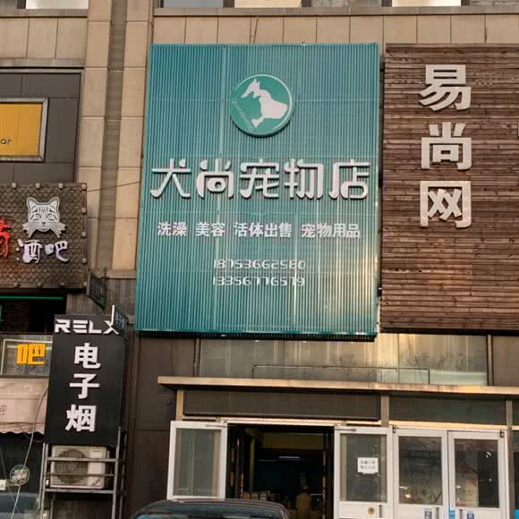 犬尚宠物店:潍坊市寿光市圣城街道附近