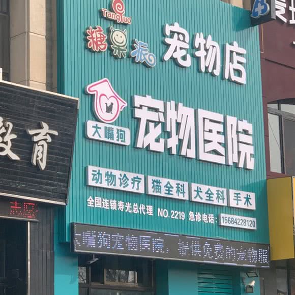 糖果派宠物店(NO.2219):潍坊市寿光市圣城街道附近
