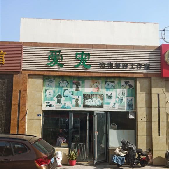 爱宠:济宁市任城区声远舞台附近