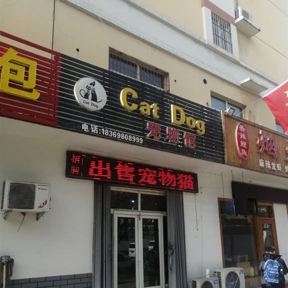 CatDog狗狗馆:济宁市任城区红星东路附近