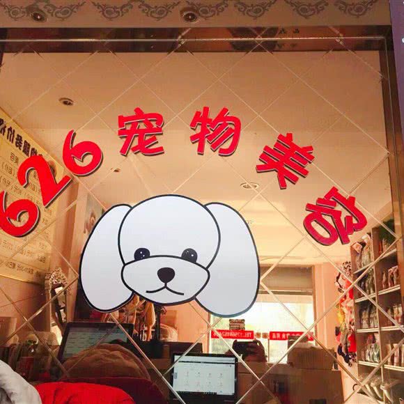 626宠物美容:济宁市任城区洸河路附近