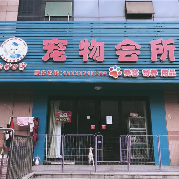 完美世界宠物会所(新世纪广场店):济宁市任城区新世纪广场附近