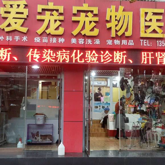 爱宠宠物医院:济宁市任城区新世纪广场附近