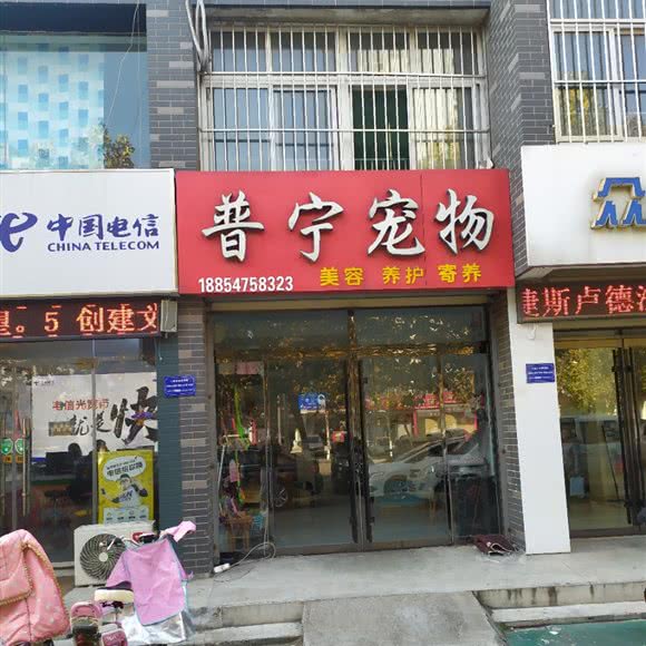 豆豆宠物:济宁市任城区南池商业街附近