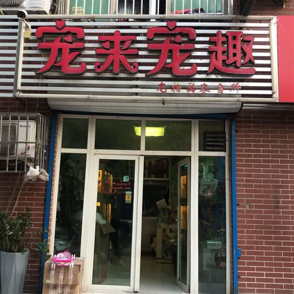 宠来宠趣宠物狗美容会所:济宁市任城区贵和/佳世客附近