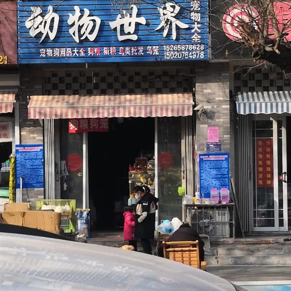 动物世界宠物大全:济宁市任城区济安桥路附近