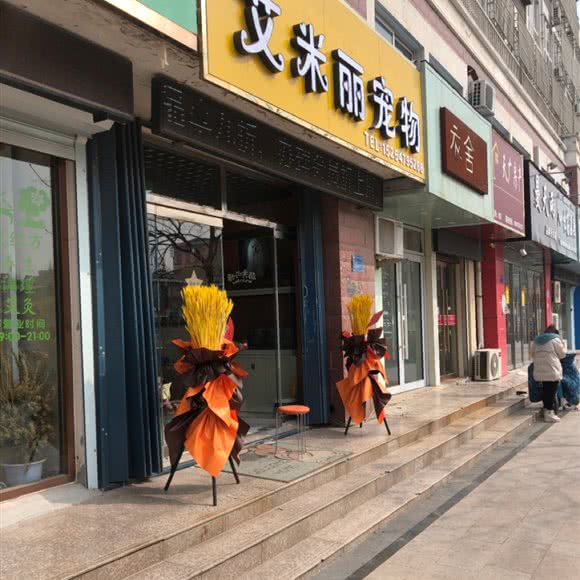 艾米丽宠物(长安花园店):济宁市任城区济安桥路附近