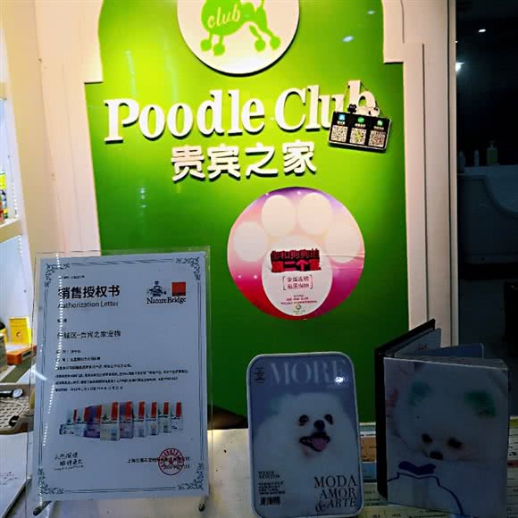 贵宾之家宠物生活馆(济宁店):济宁市任城区济安桥路附近