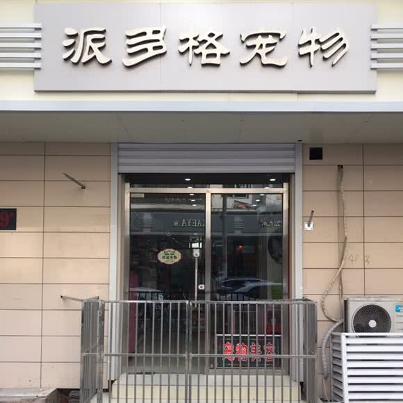 派多格宠物美容店(苏州道店):天津城区河西区图书大厦附近