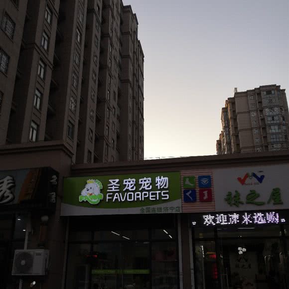 圣宠宠物:济宁市任城区杨柳国际新城附近