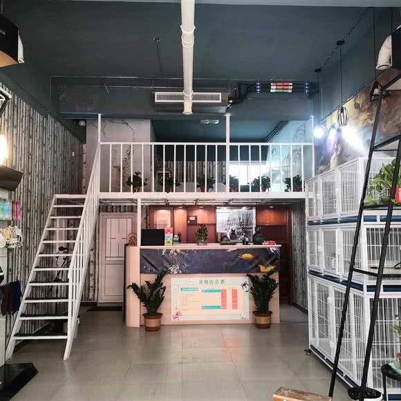 遇见萌宠生活馆(宠物店):济宁市任城区草桥口附近