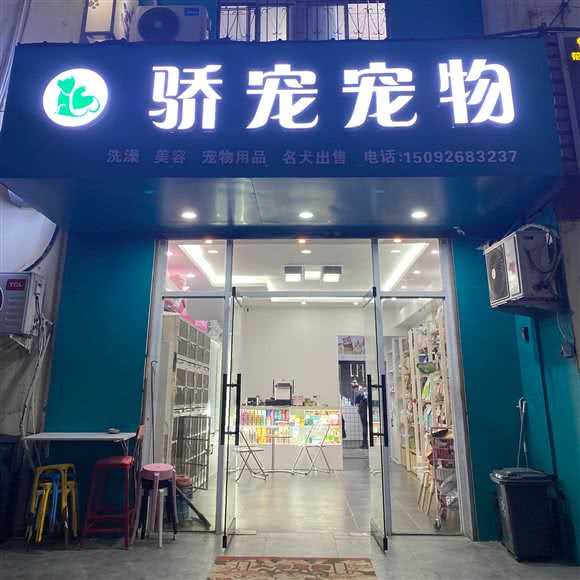 骄宠宠物:济宁市任城区快活林附近