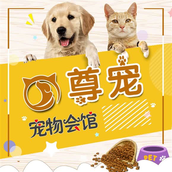 希希里宠物馆:天津城区南开区老城厢/鼓楼附近