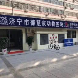 葆慧康动物医院:济宁市任城区火炬路附近